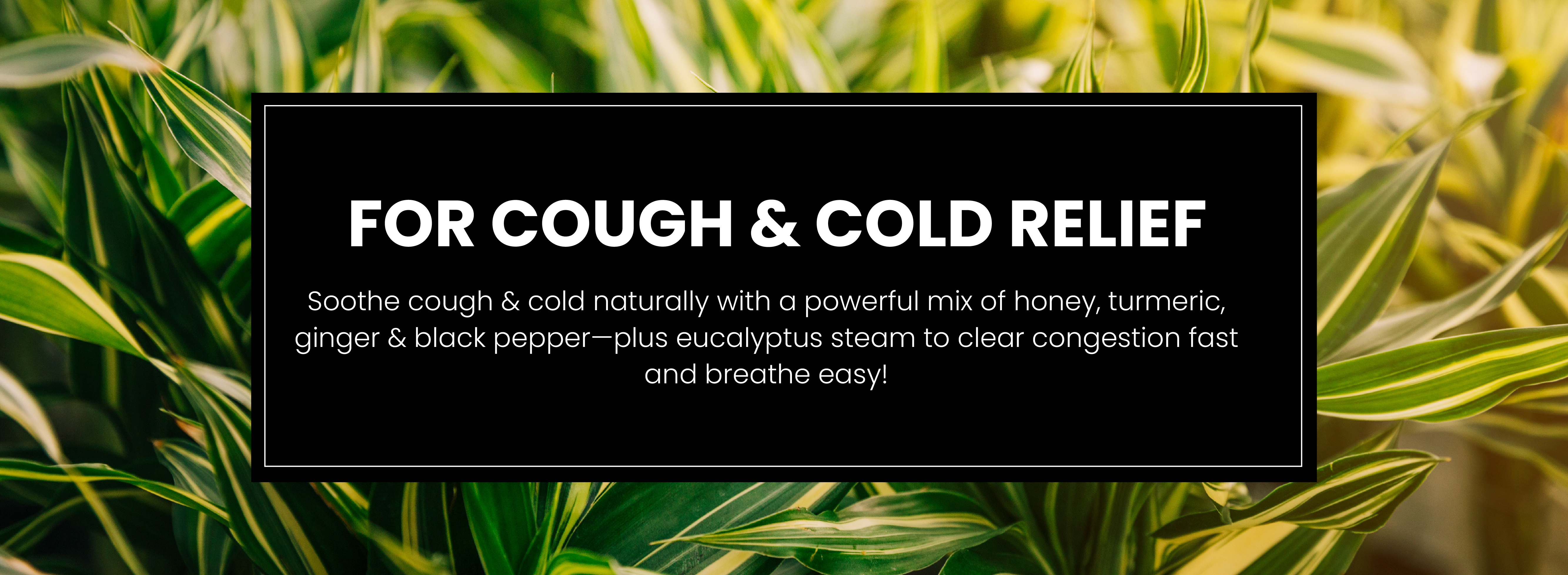 Tips for Winter Wellness 